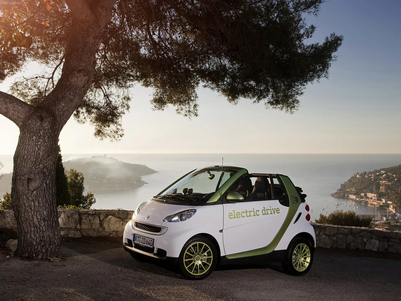 Smart fortwo electric drive (2010)