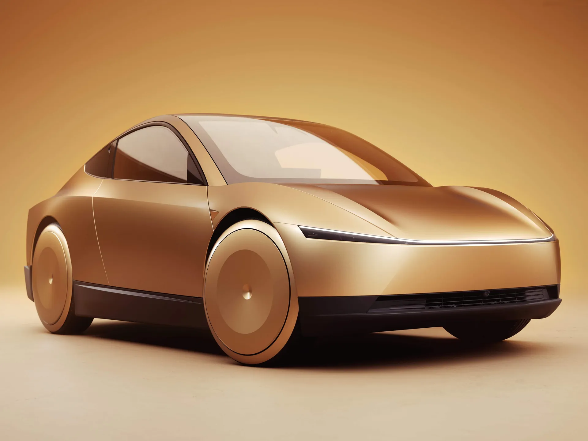 Tesla Robotaxi Concept (2024)