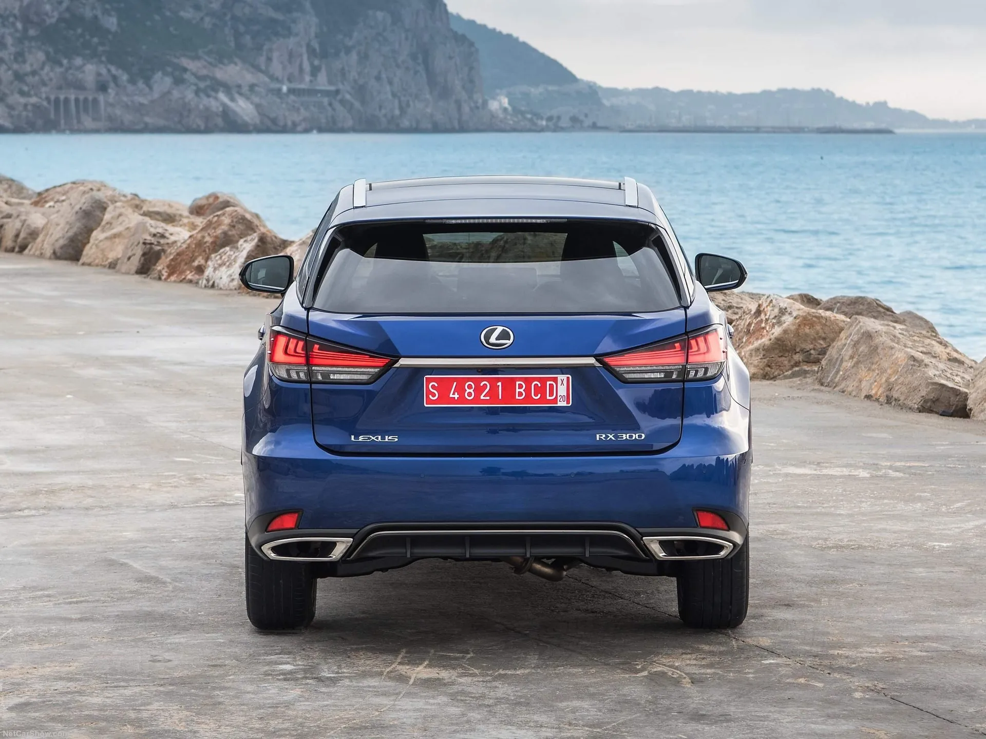 Lexus RX (2020) – zezadu