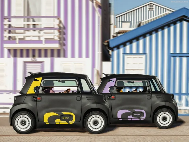 Citroen Ami Rip Curl (2026)