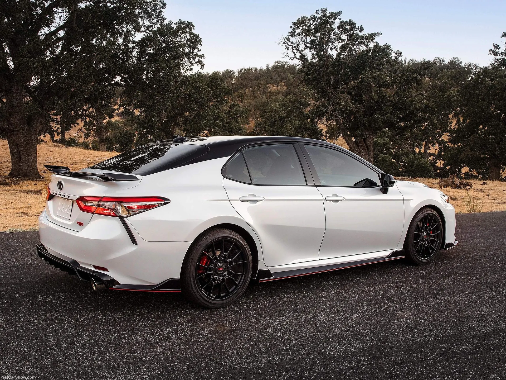 Toyota Camry TRD (2020) – zadní tříčtvrteční pohled