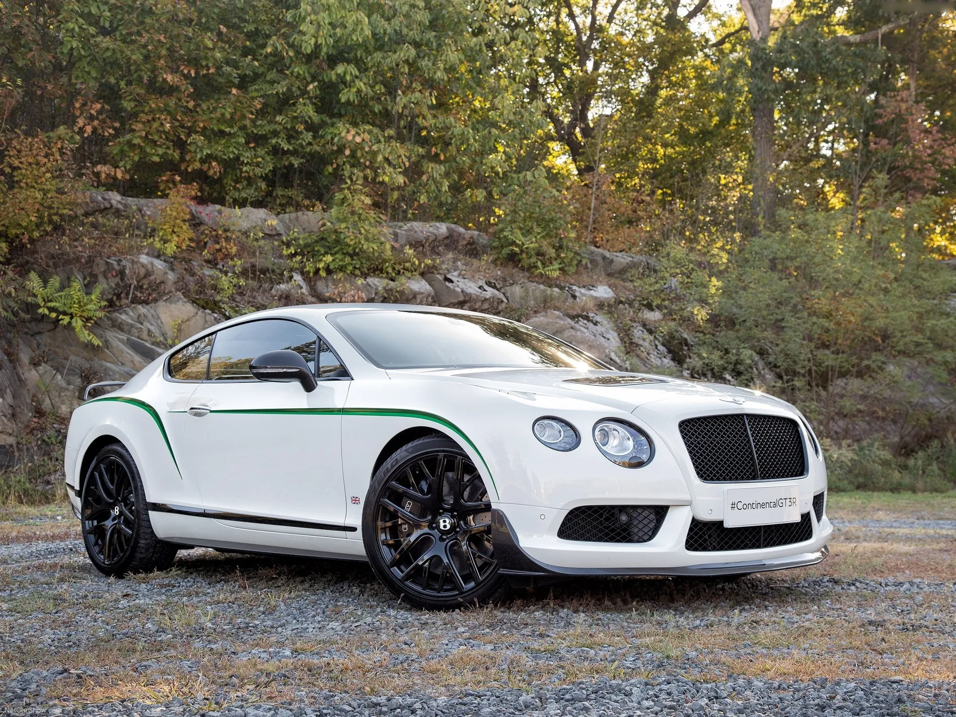 Bentley Continental GT3-R (2015)