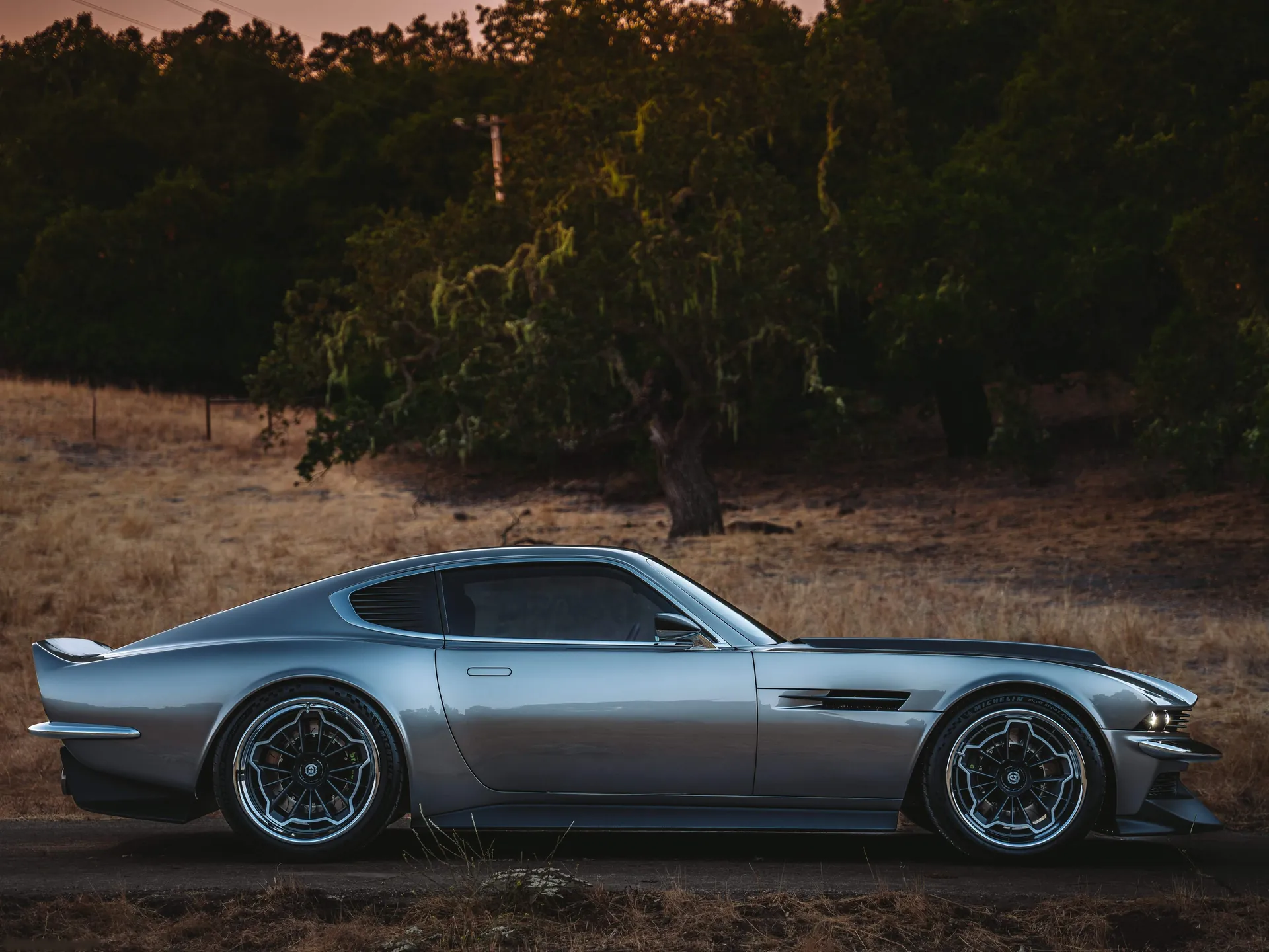 Aston Martin DBS Octavia by Ringbrothers (1971) - Side Profile