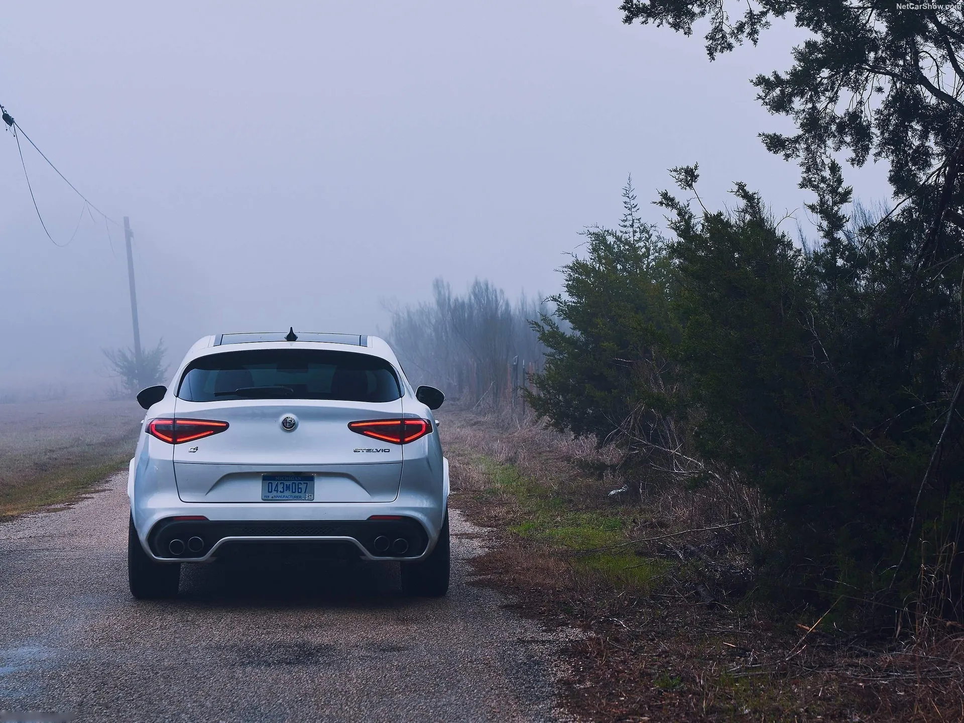 Alfa Romeo Stelvio Quadrifoglio [US] (2018) - Rear