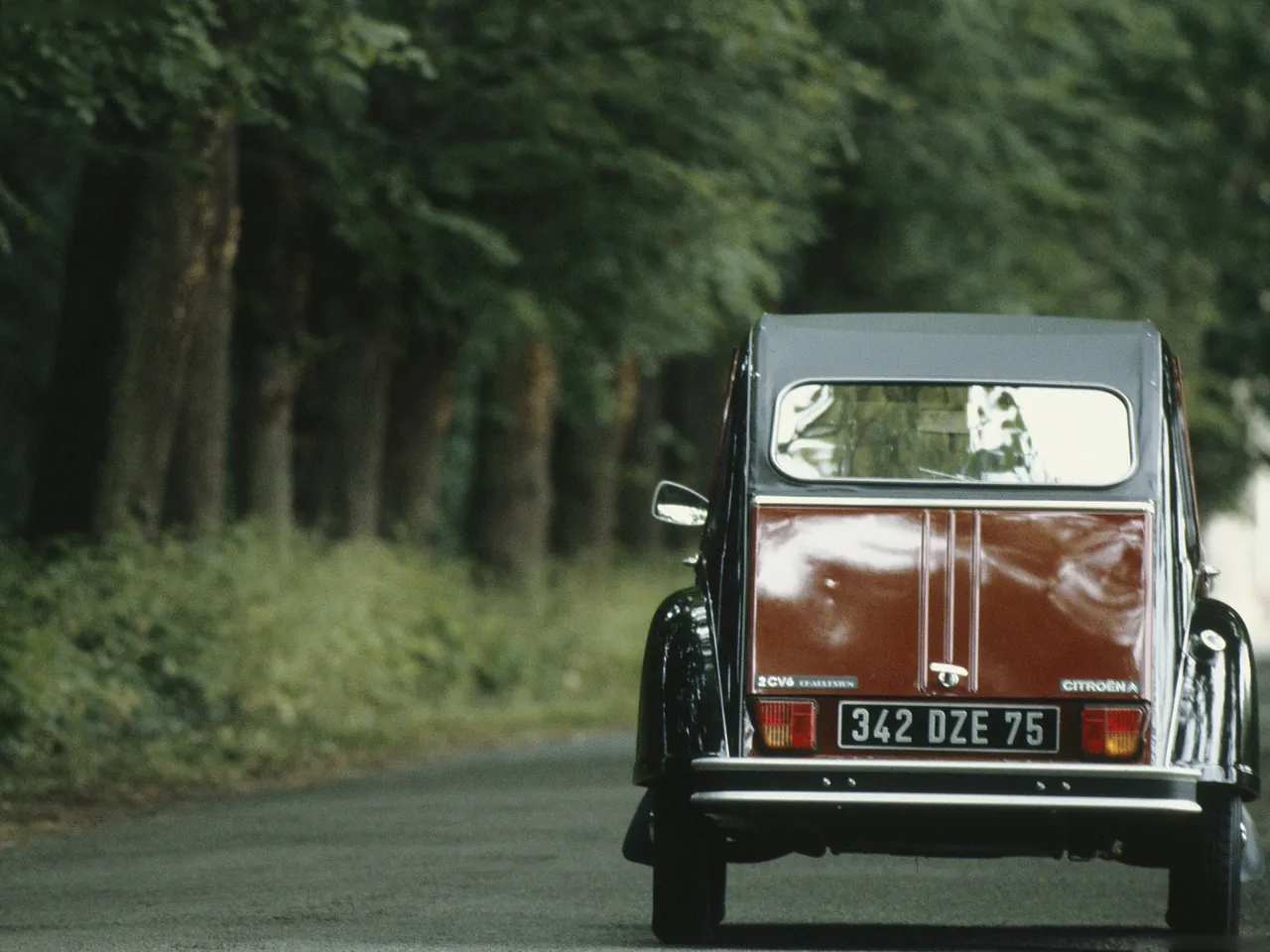 Citroen 2CV 6 Charleston (1983) – zezadu