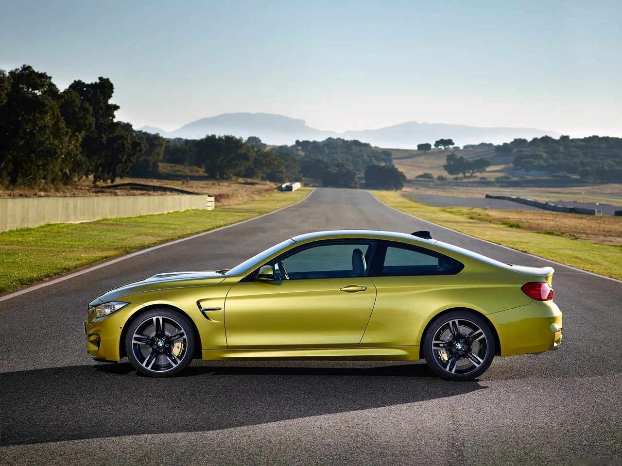 BMW M4 Coupe (2015) - Side Profile
