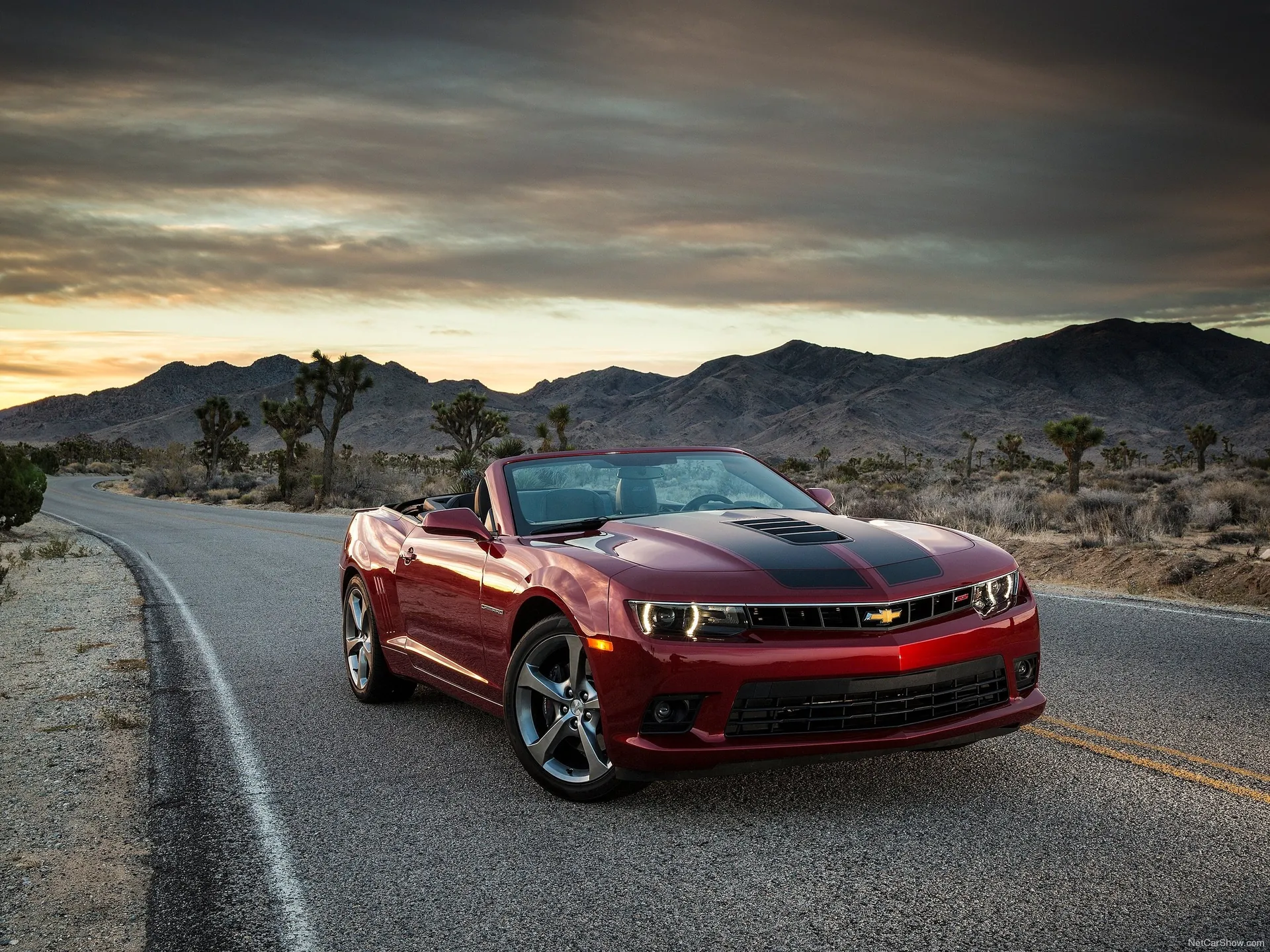Chevrolet Camaro Convertible (2014)