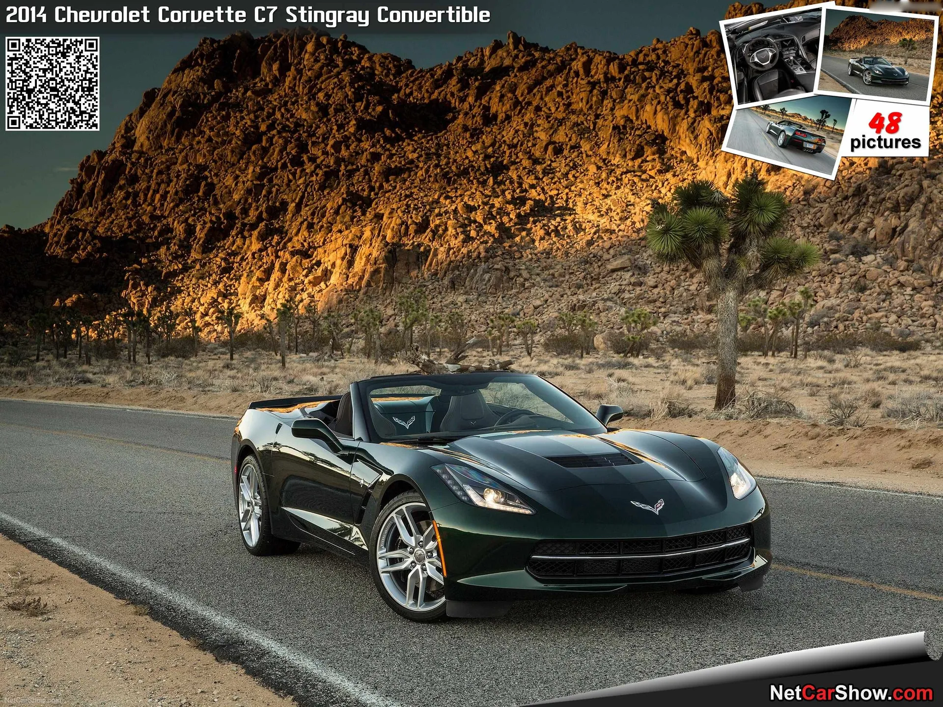 Chevrolet Corvette C7 Stingray Convertible (2014)