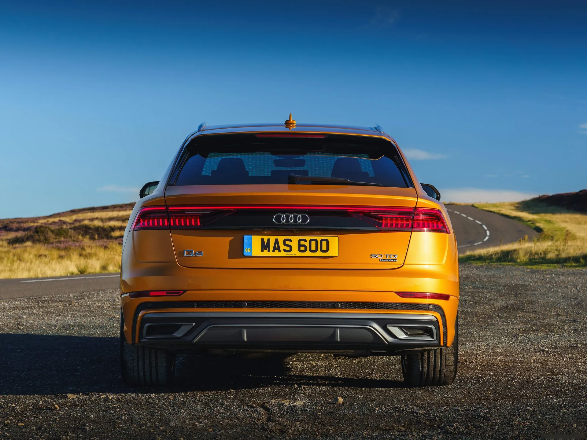 Audi Q8 [UK] (2019) - Rear