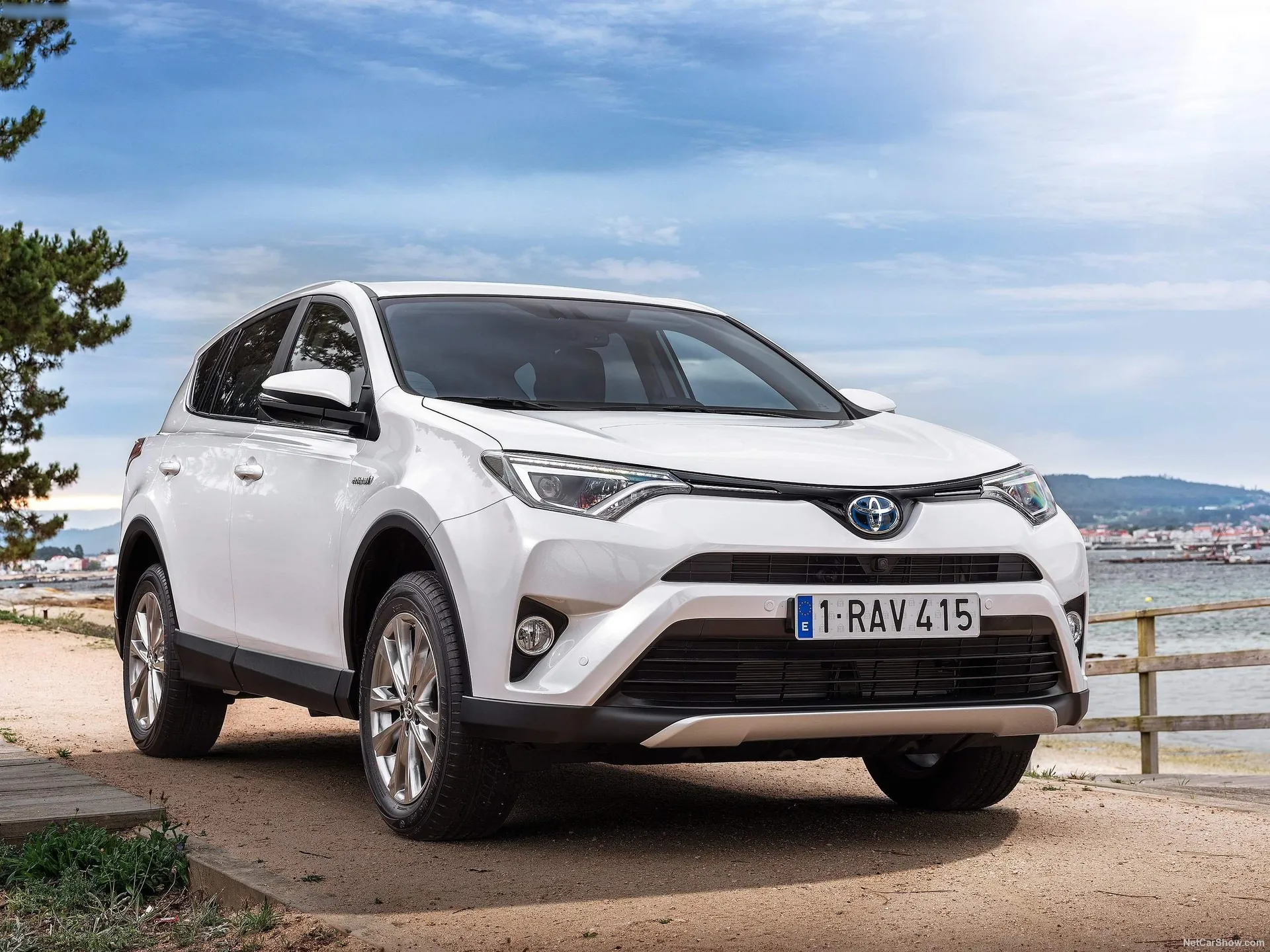 Toyota RAV4 Hybrid [EU] (2016)