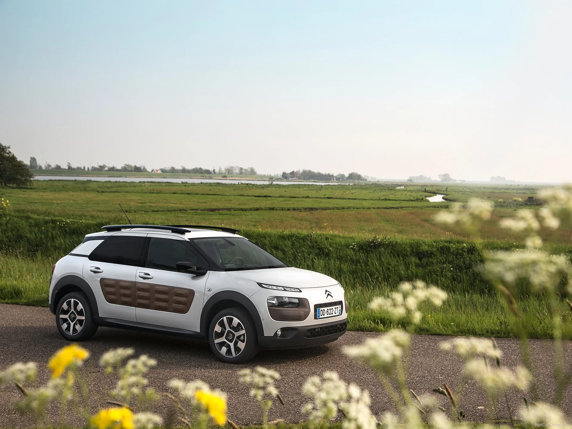 Citroen C4 Cactus (2015)