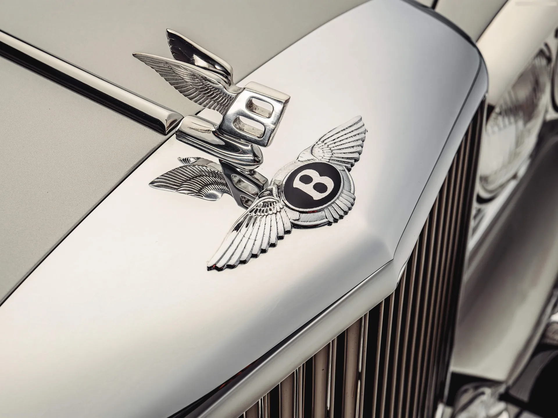 Bentley T-Series (1965) – znak