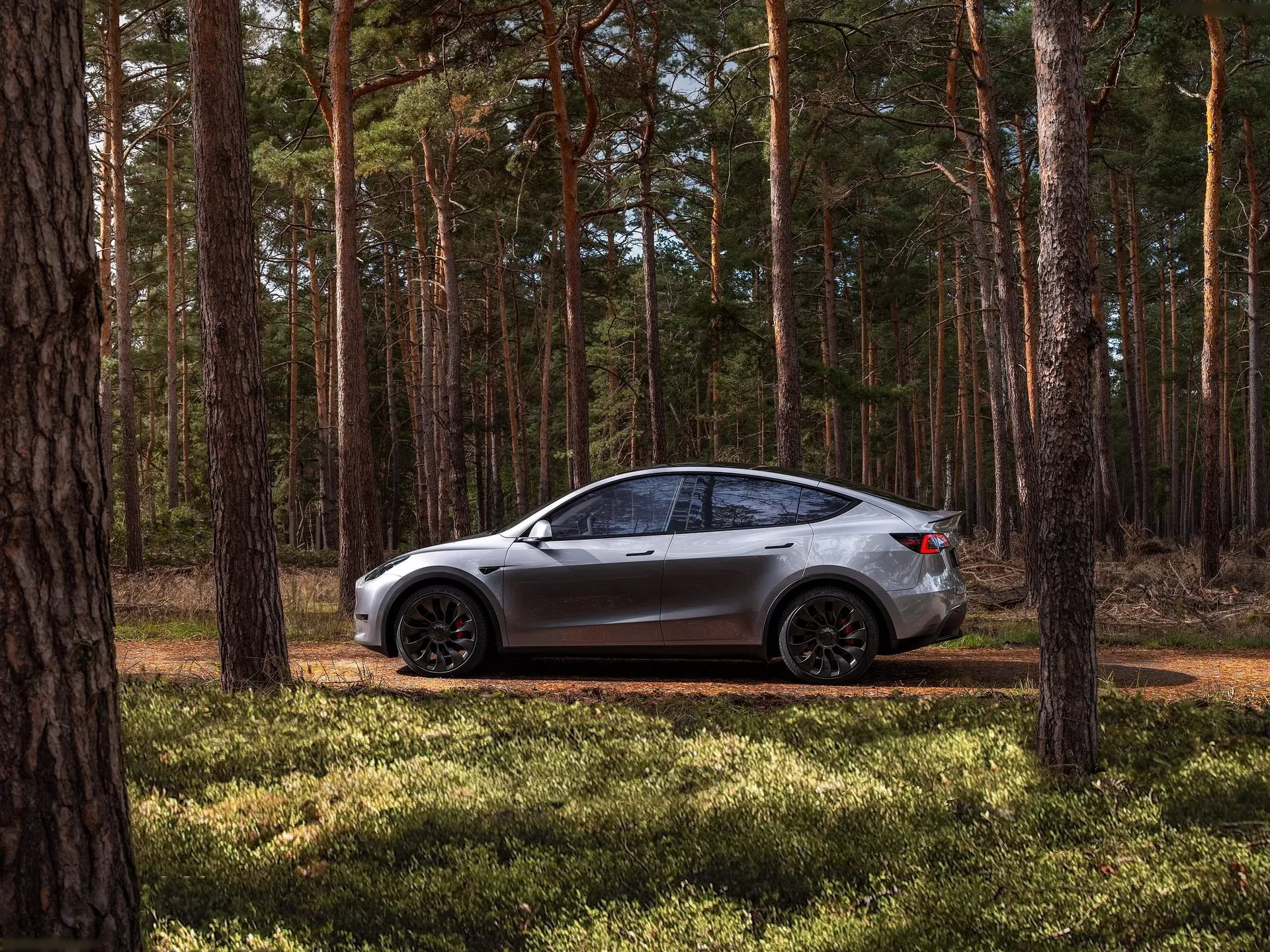 Tesla Model Y (2021) – boční profil