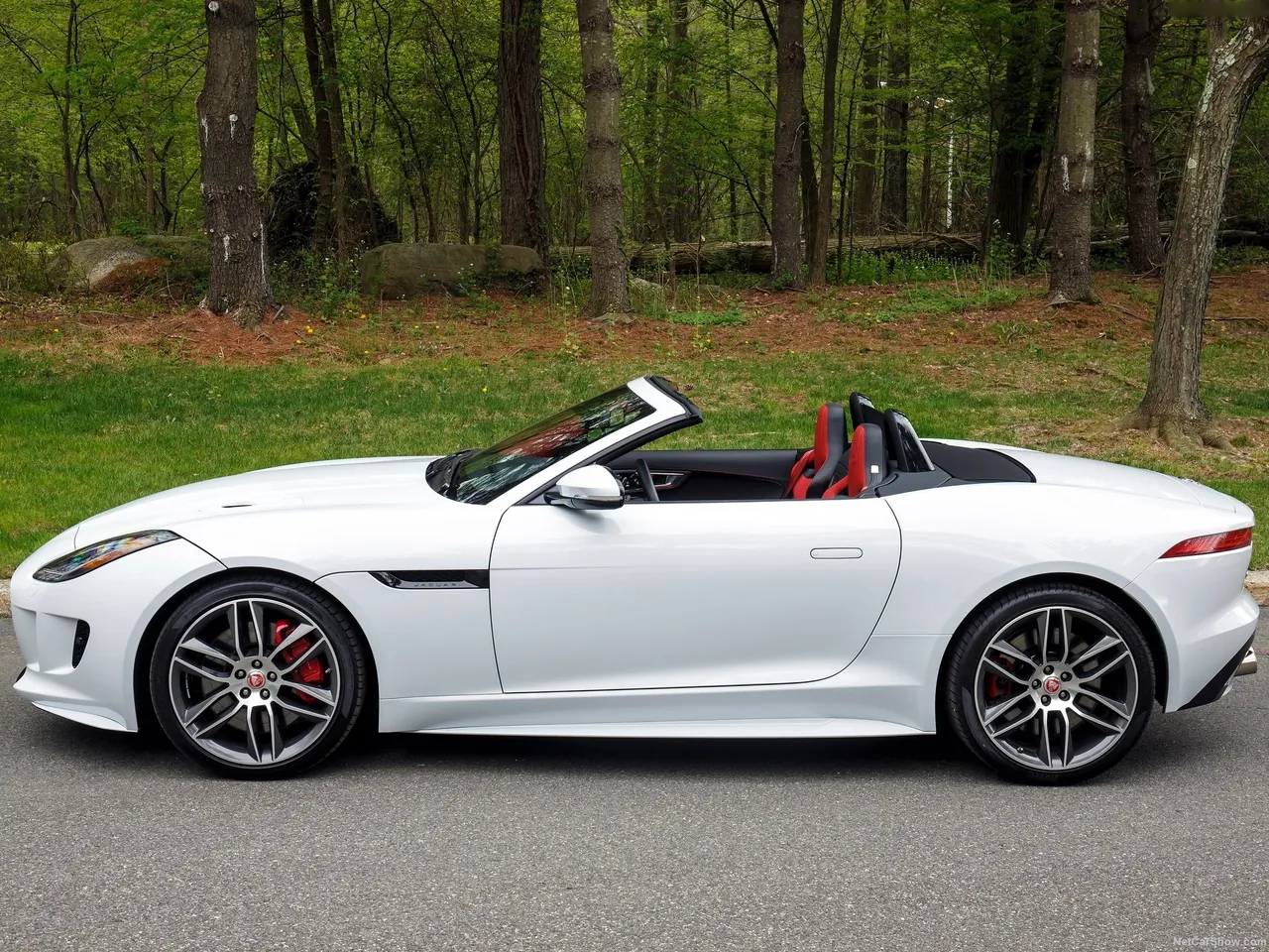 Jaguar F-Type (2016) – boční profil