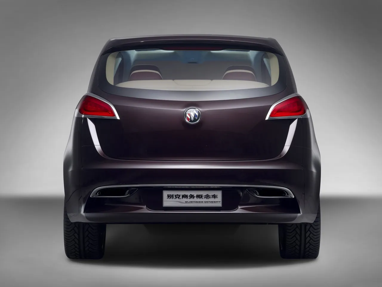 Buick Business Concept (2009) – zezadu