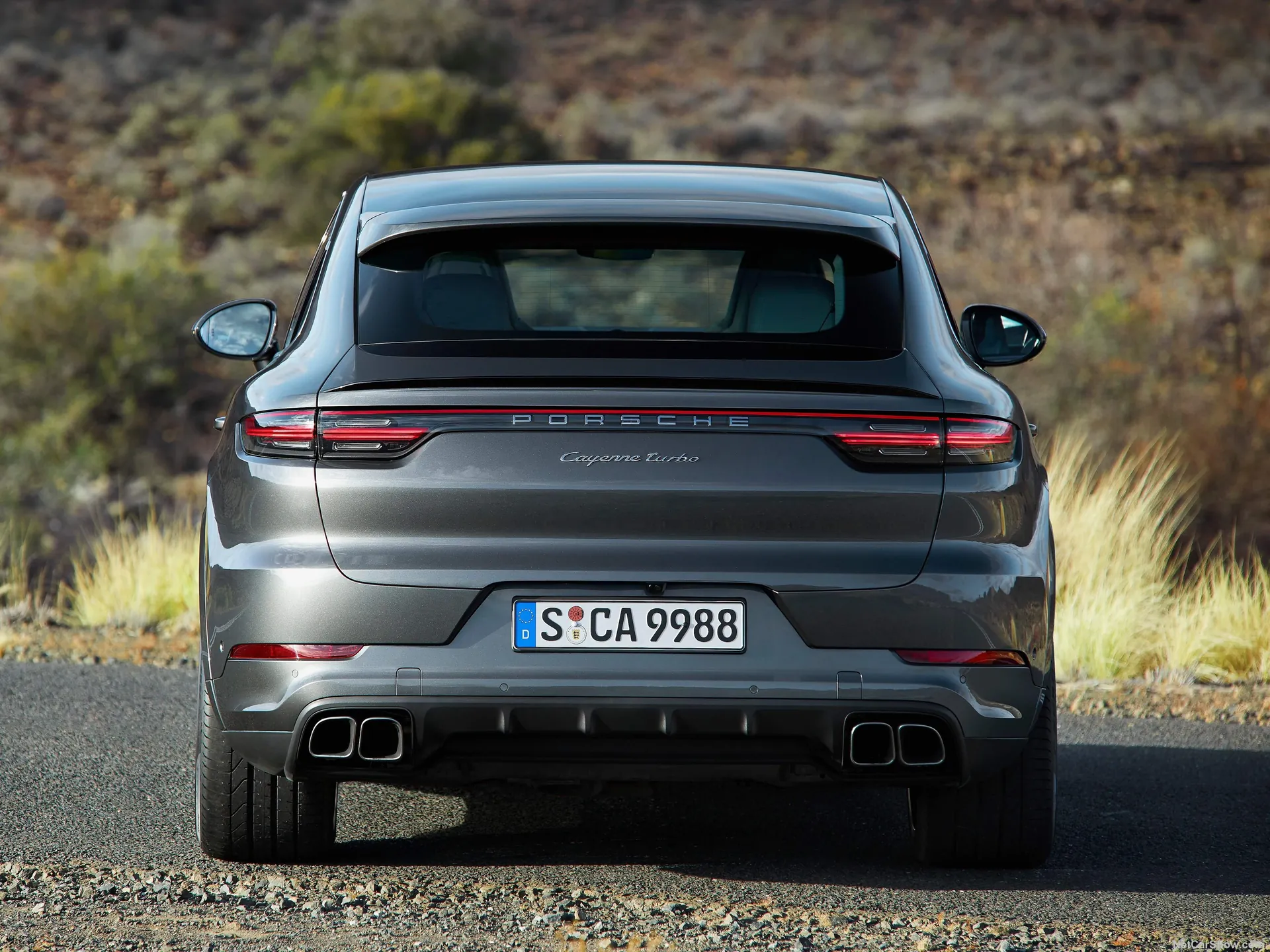 Porsche Cayenne Turbo Coupe (2020) – zezadu