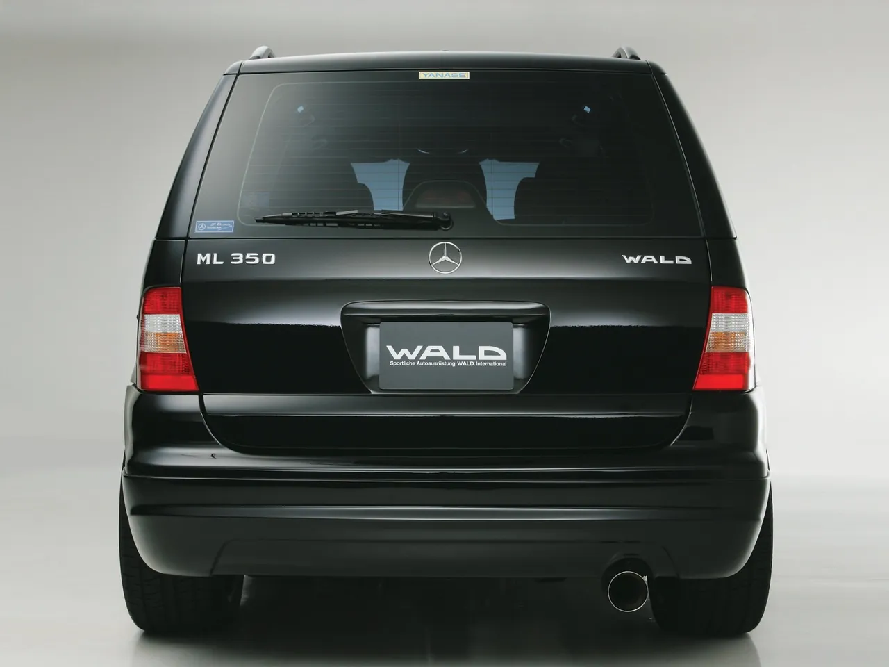 Wald Mercedes-Benz M-Class (2003) – zezadu