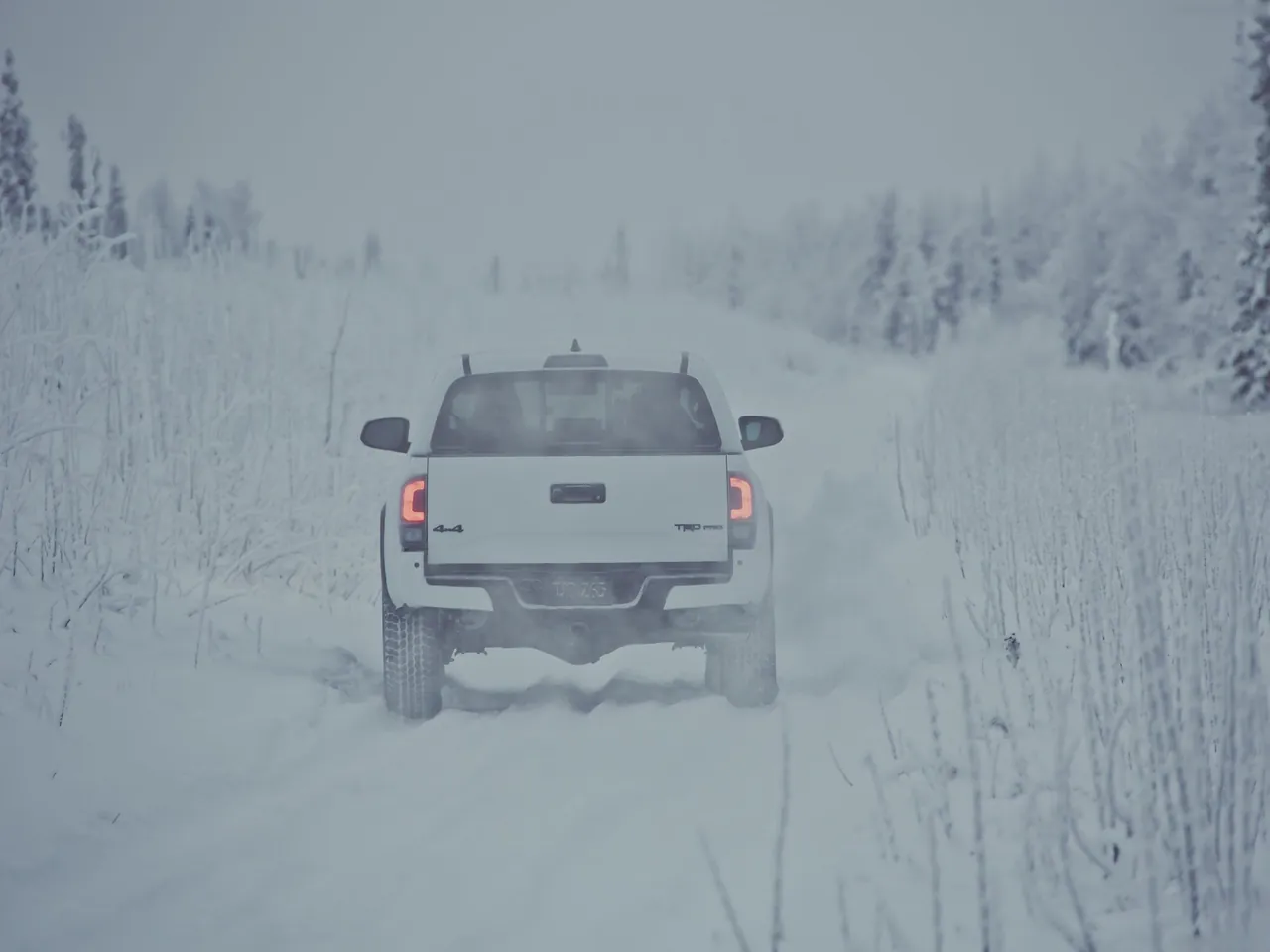 Toyota Tacoma TRD Pro (2017) – zezadu