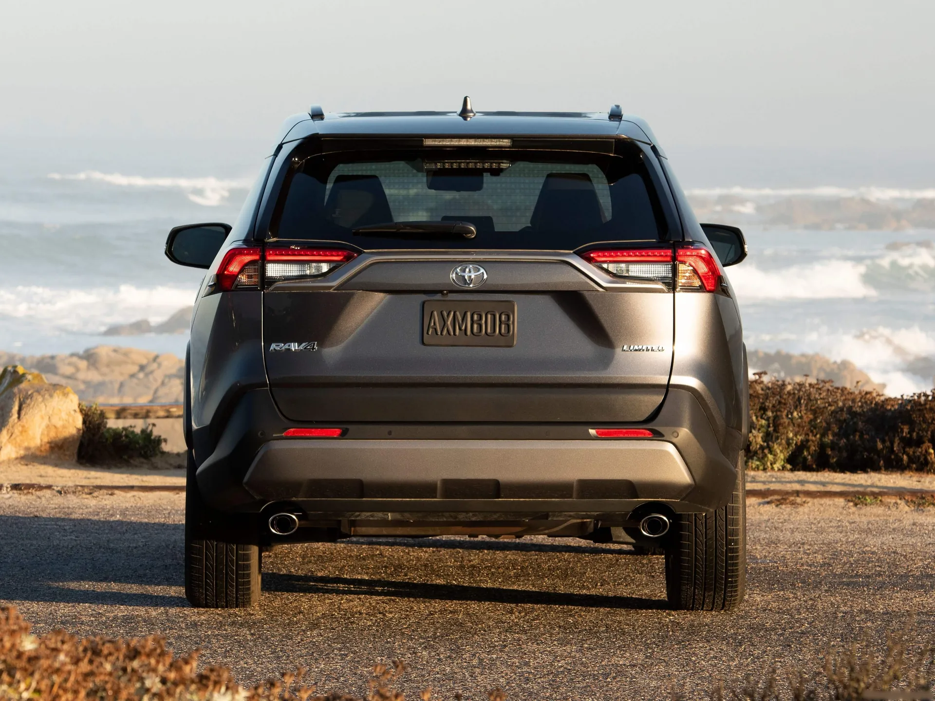 Toyota RAV4 (2019) – zezadu