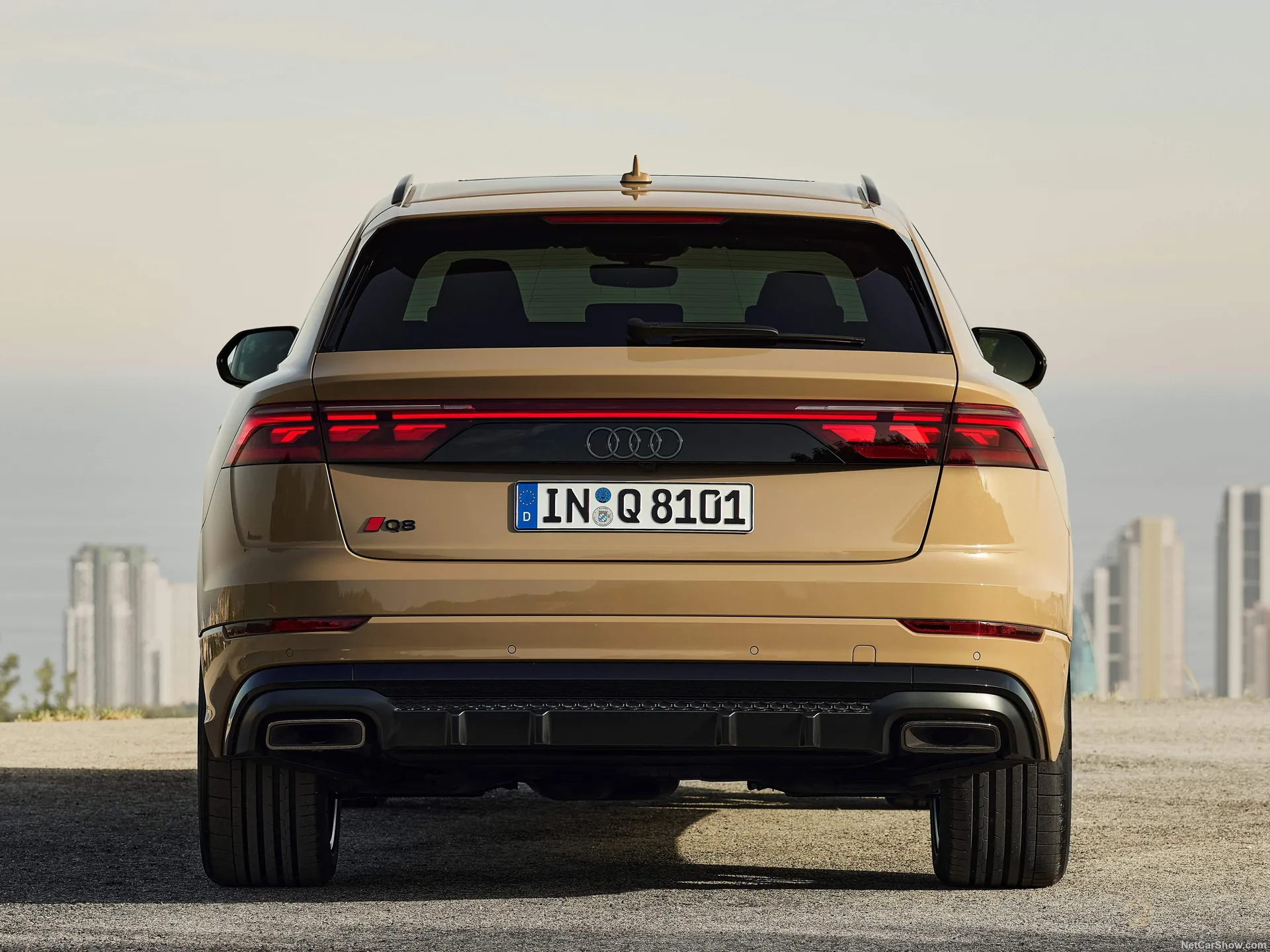 Audi Q8 (2024) – zezadu