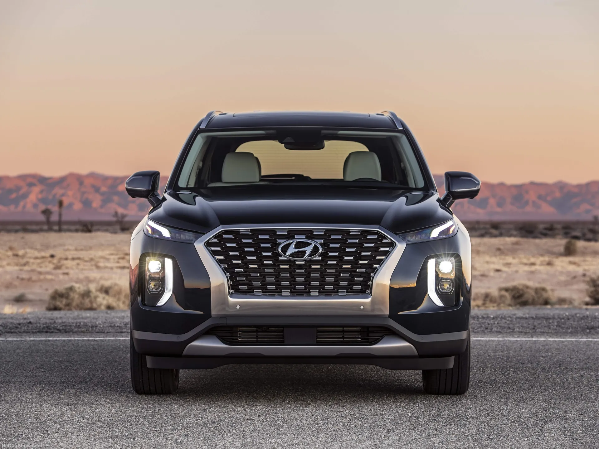Hyundai Palisade (2020) – zepředu