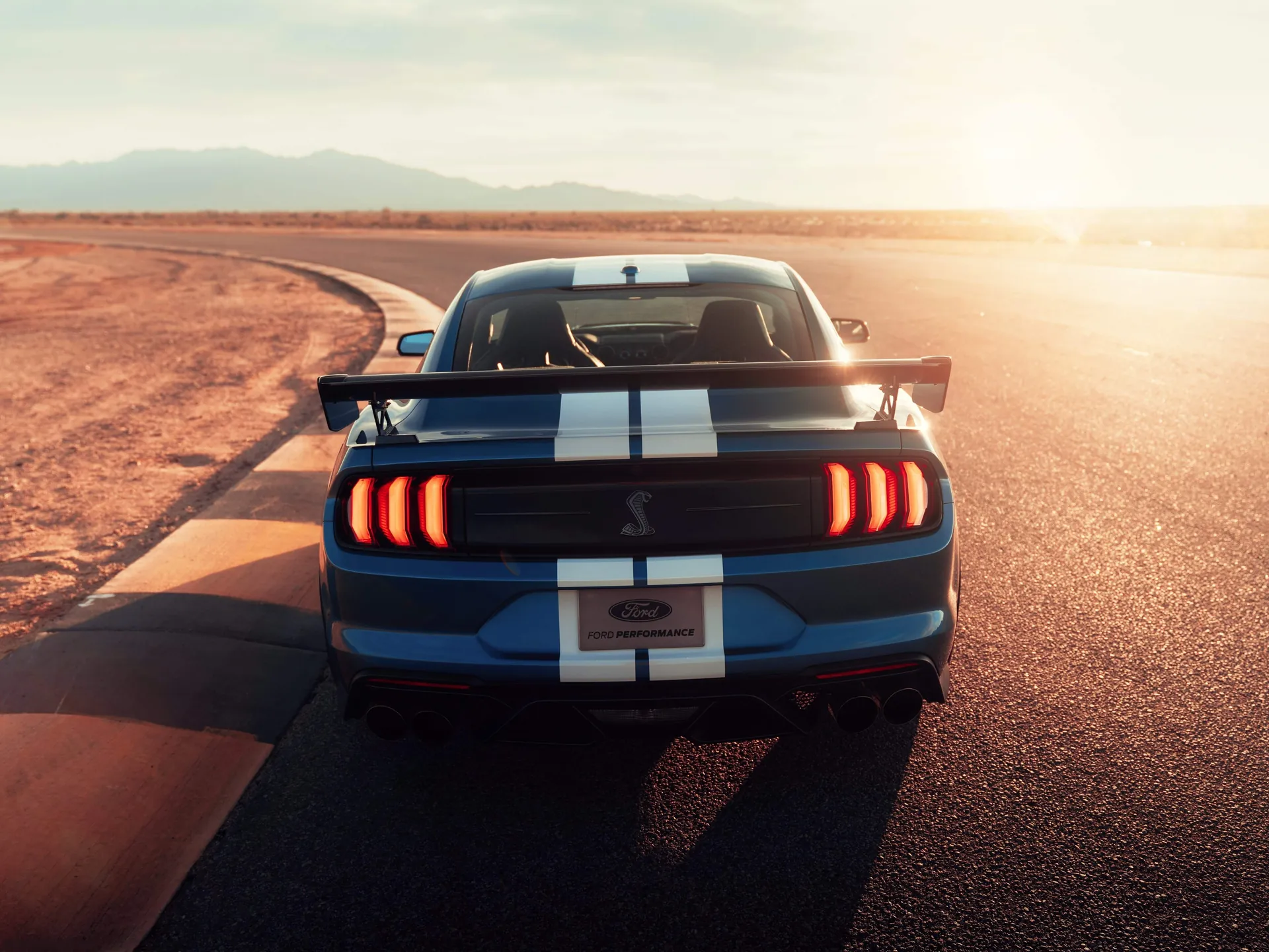 Ford Mustang Shelby GT500 (2020) - Rear