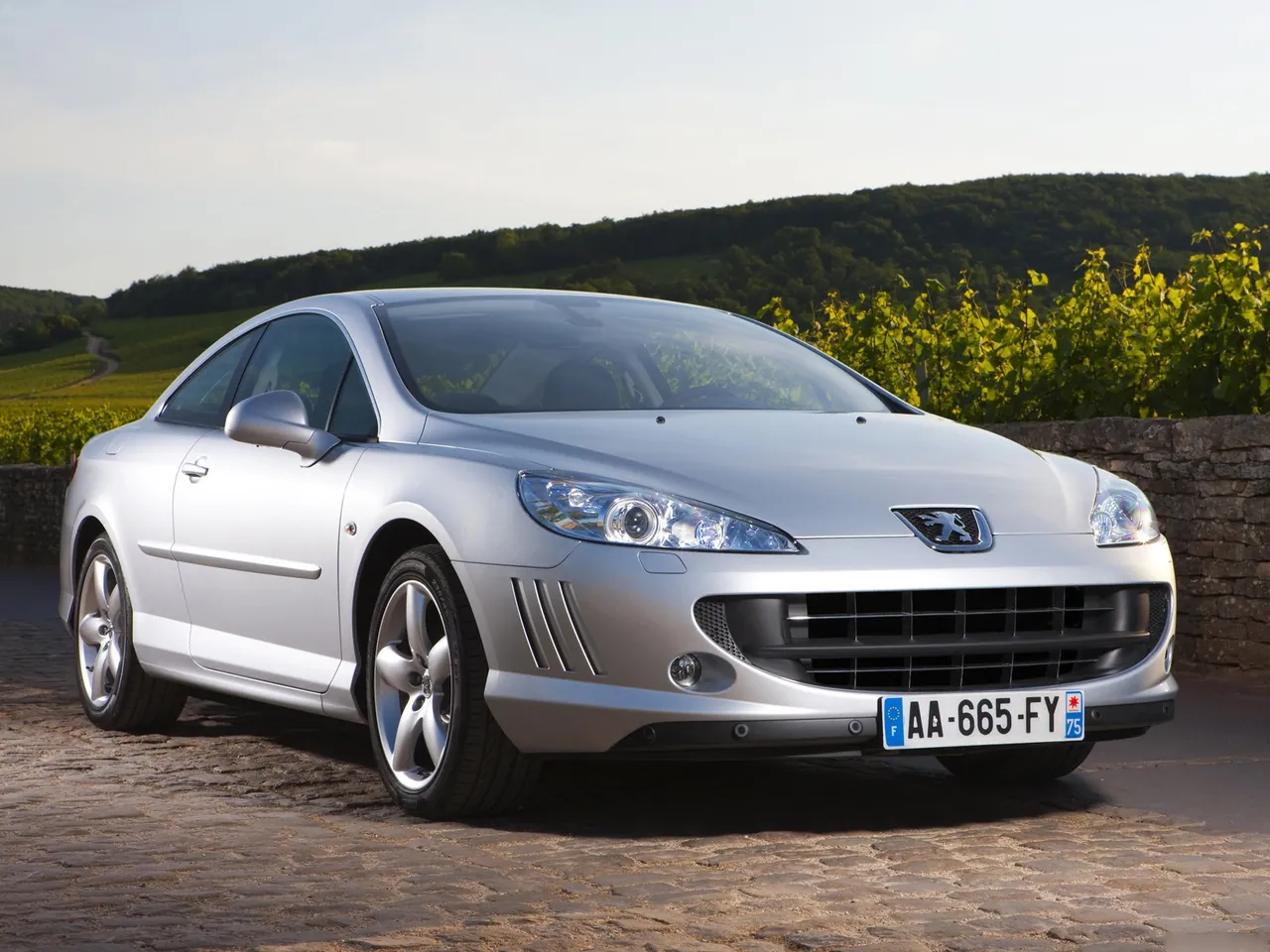 Peugeot 407 Coupe (2010)