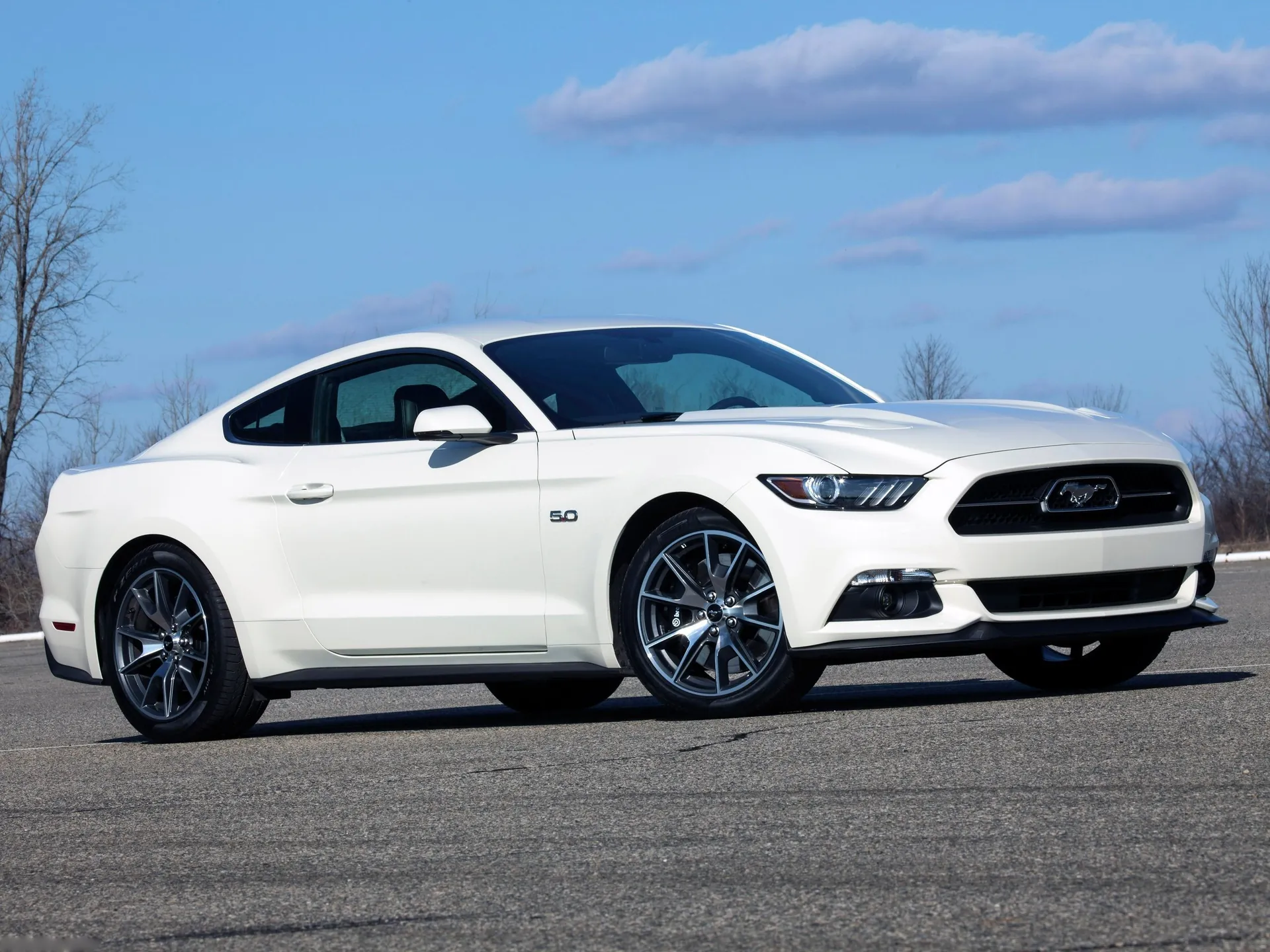 Ford Mustang 50 Year Limited Edition (2015)