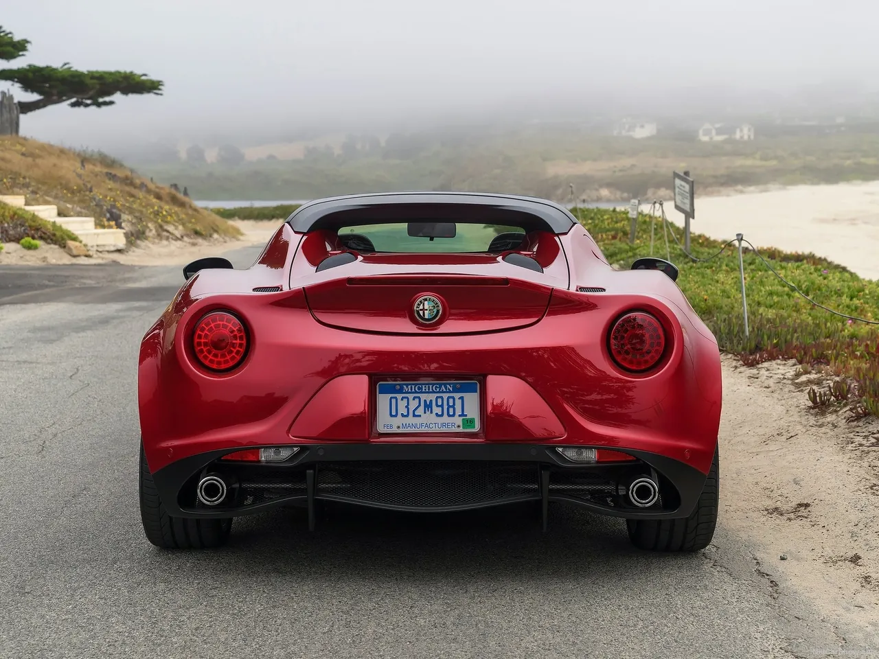 Alfa Romeo 4C Spider (2015) - Rear