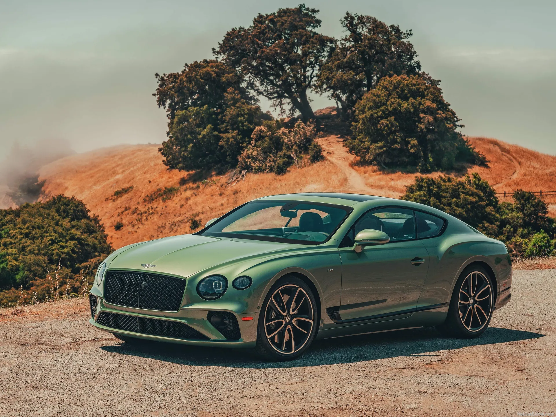 Bentley Continental GT V8 (2020)