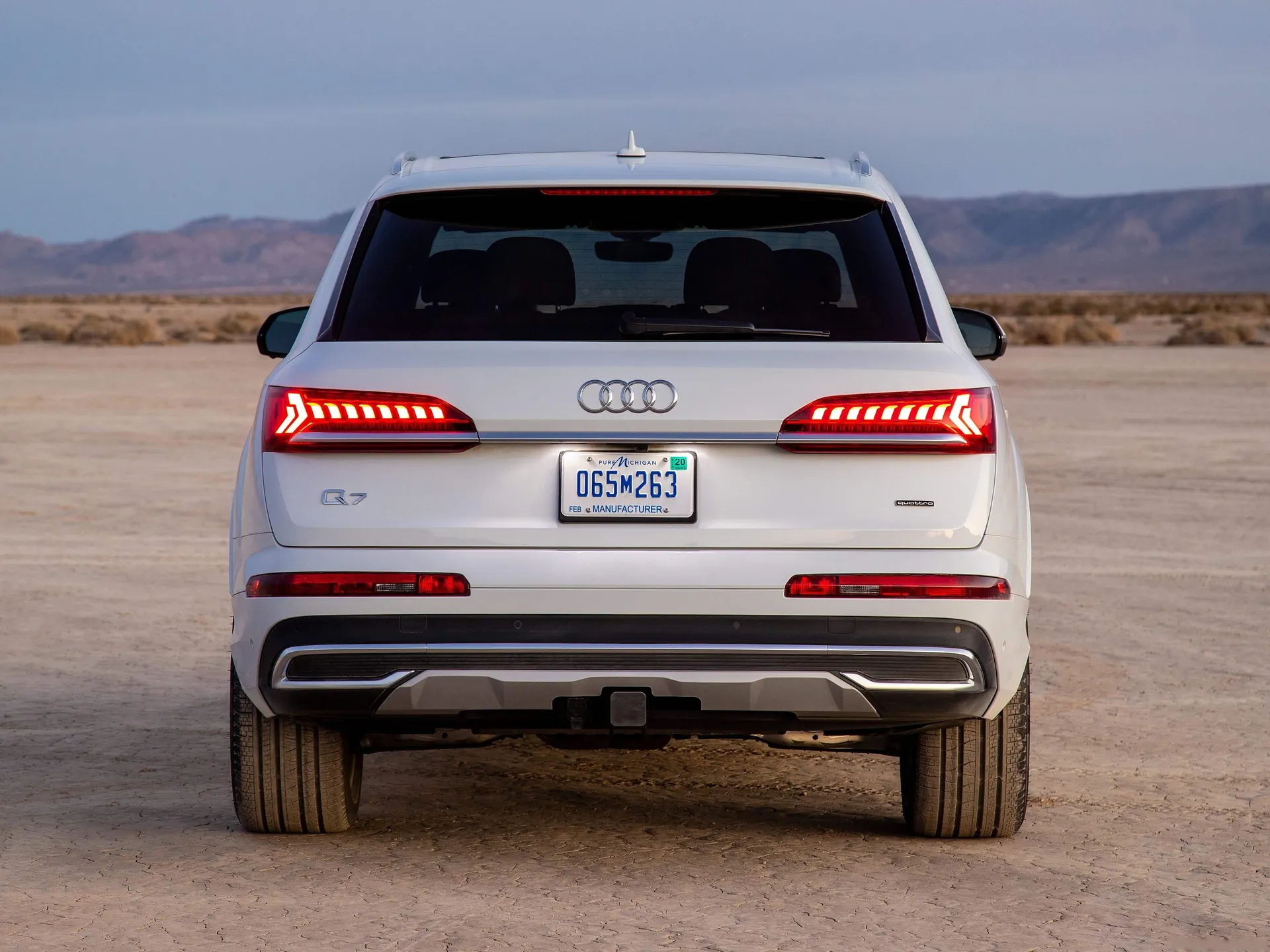 Audi Q7 (2020) – zezadu