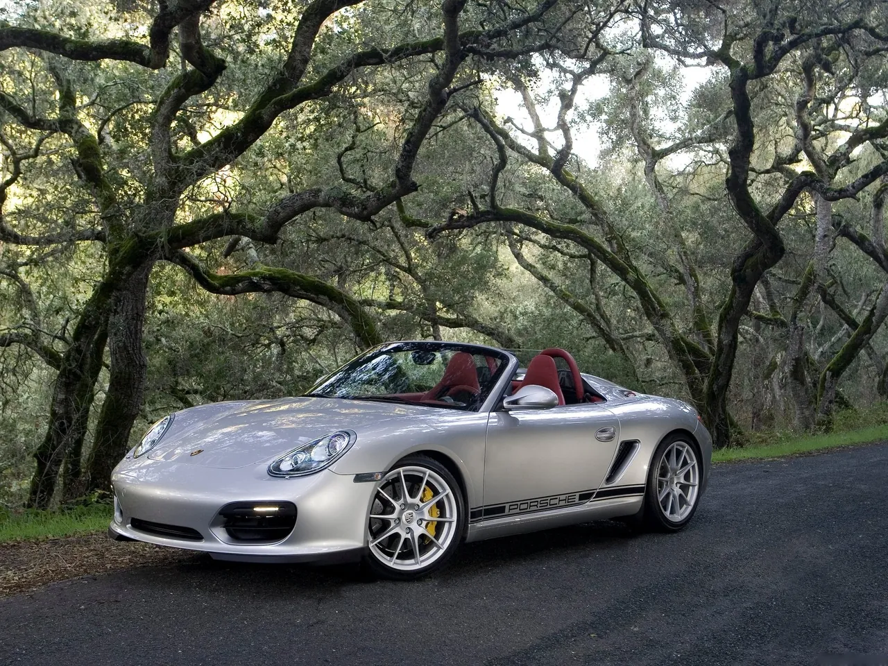 Porsche Boxster Spyder (2010)