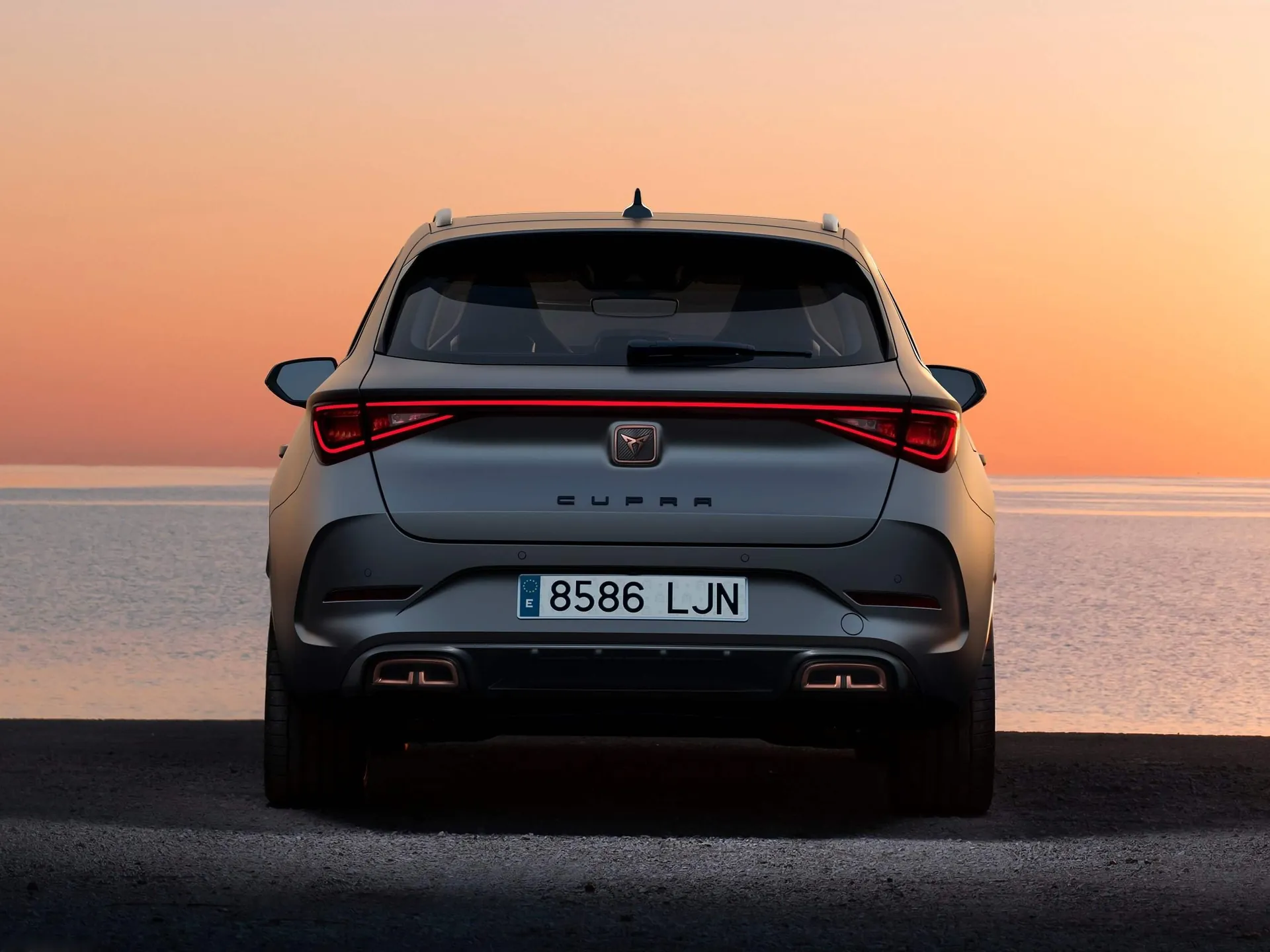 Cupra Leon Sportstourer (2021) – zezadu