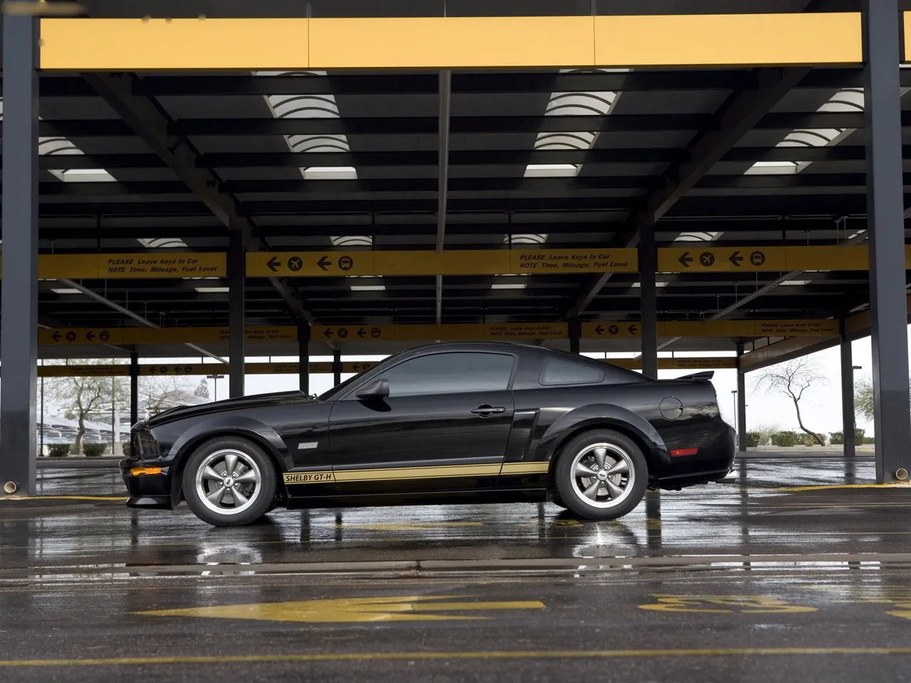 Ford Mustang Shelby GT-H (2006) – boční profil