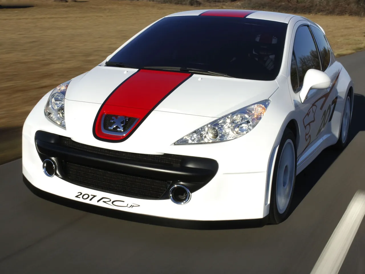 Peugeot 207 RCup Concept (2006)