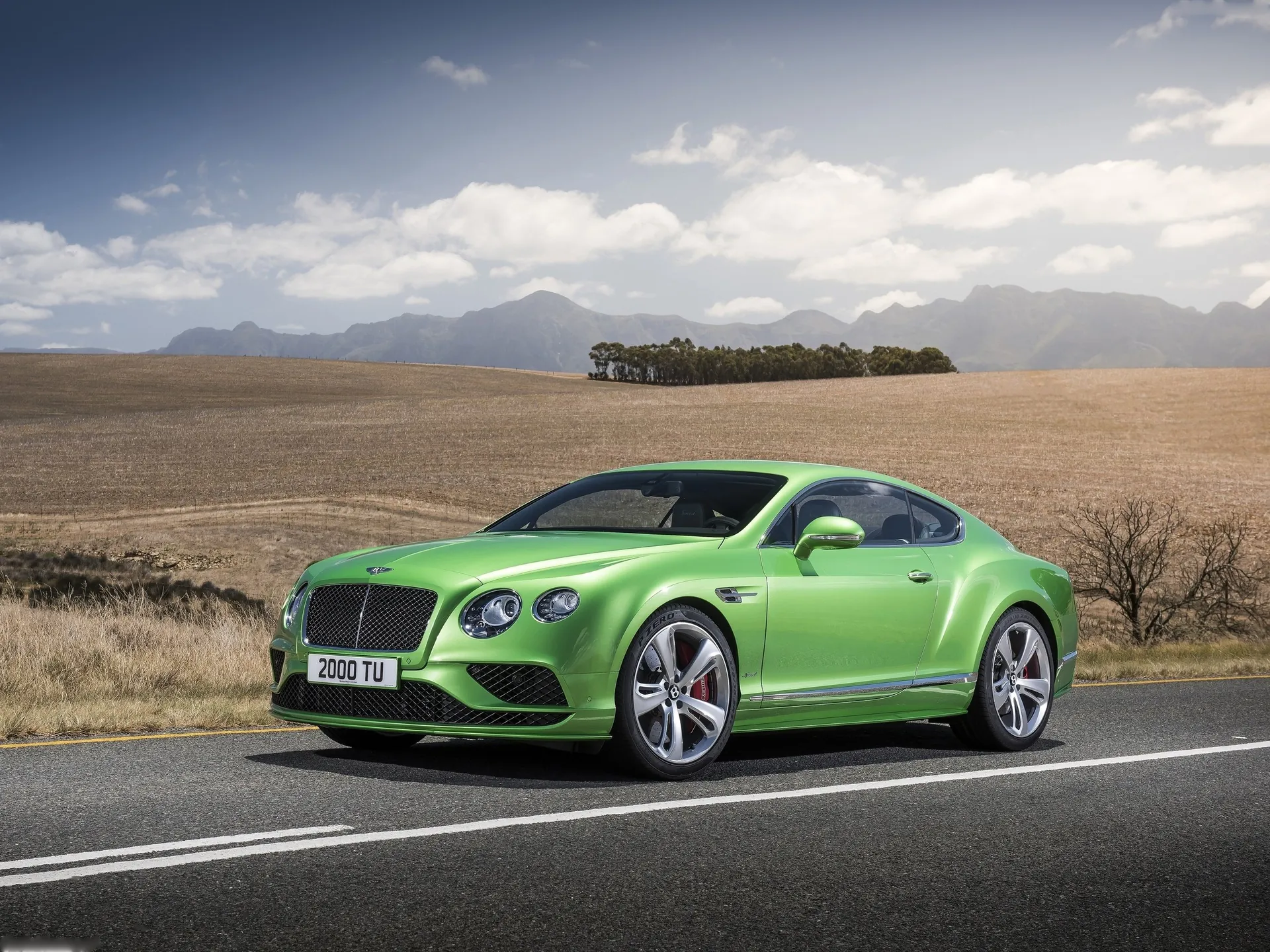 Bentley Continental GT Speed (2016)