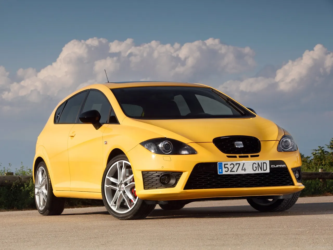 Seat Leon Cupra (2010)