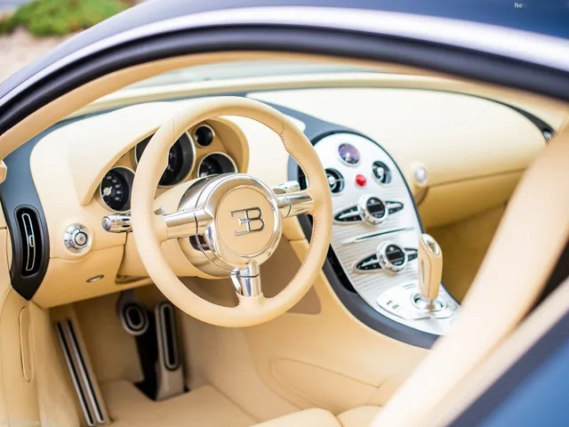 Bugatti Veyron La Maison Pur Sang 20 Years (2026)