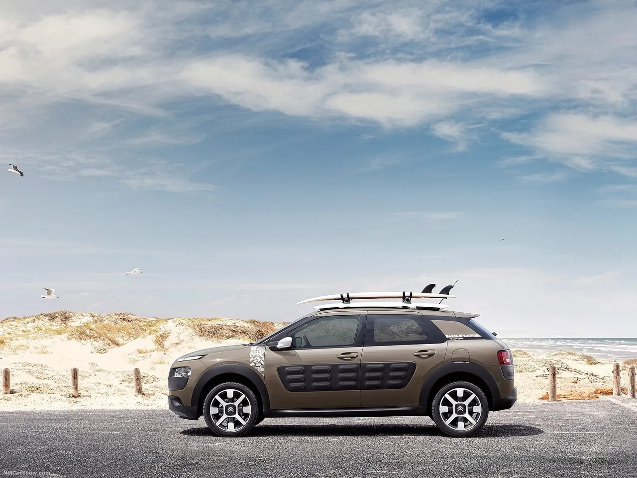 Citroen C4 Cactus Rip Curl (2017) – boční profil