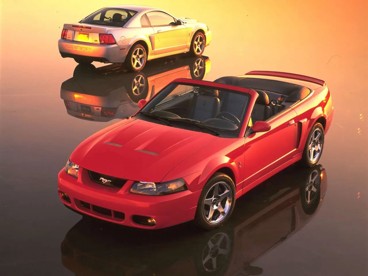 Ford Mustang SVT Cobra Convertible (2003)