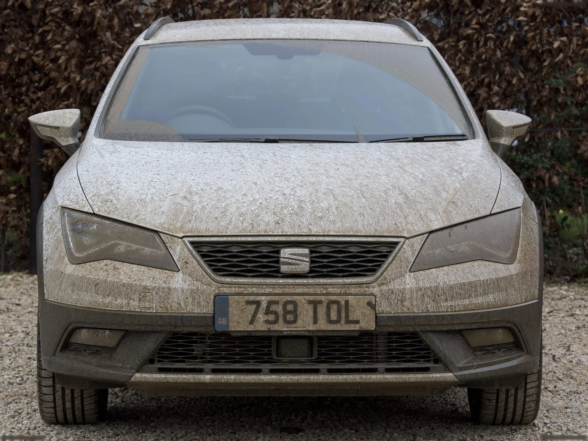 Seat Leon X-Perience (2017) – zepředu