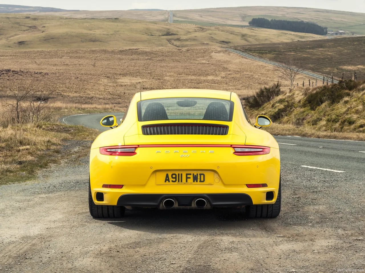 Porsche 911 Carrera 4 (2016) – zezadu