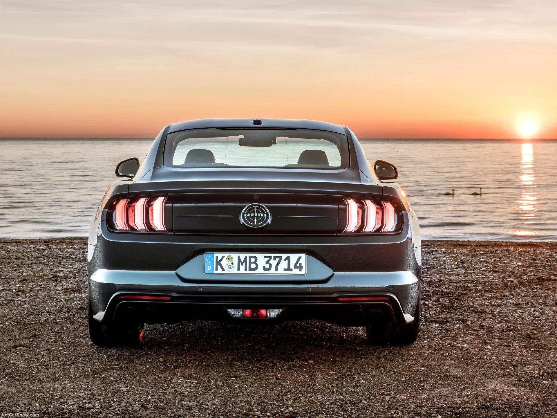Ford Mustang Bullitt (2019) - Rear