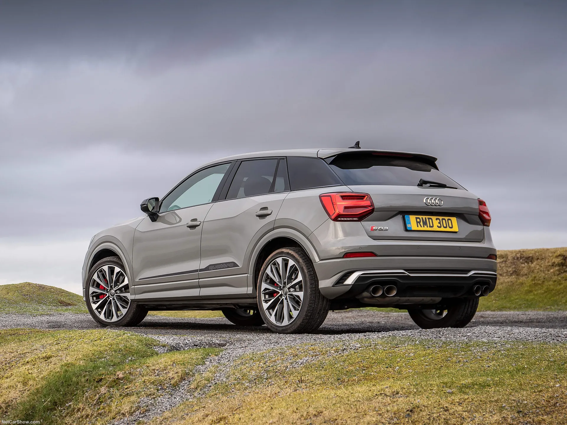 Audi SQ2 (2019) - Rear Three-Quarter