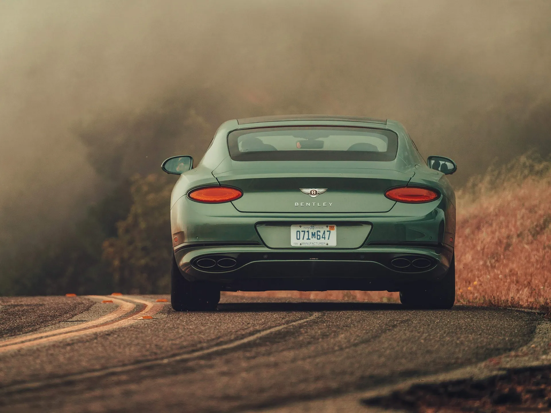 Bentley Continental GT V8 (2020) – zezadu
