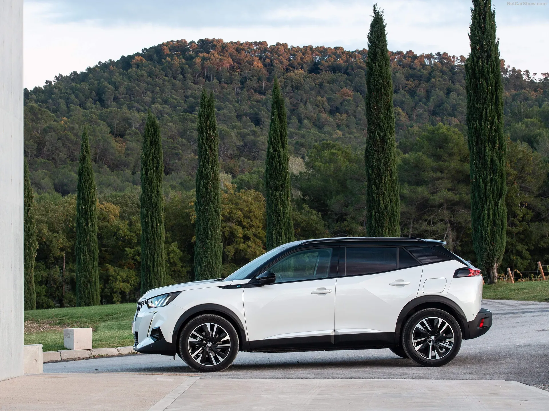 Peugeot e-2008 (2020) – boční profil