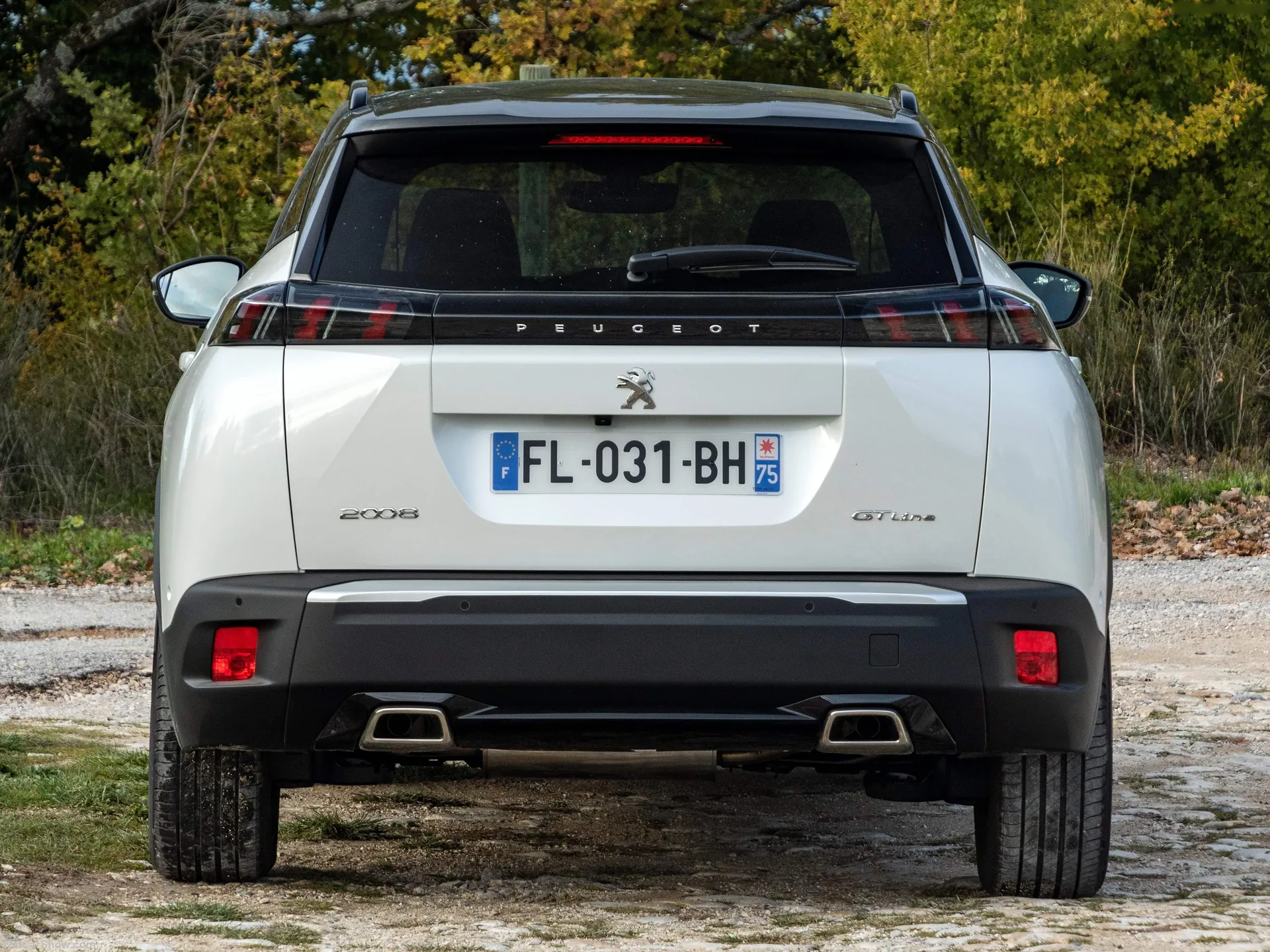 Peugeot 2008 (2020) – zezadu