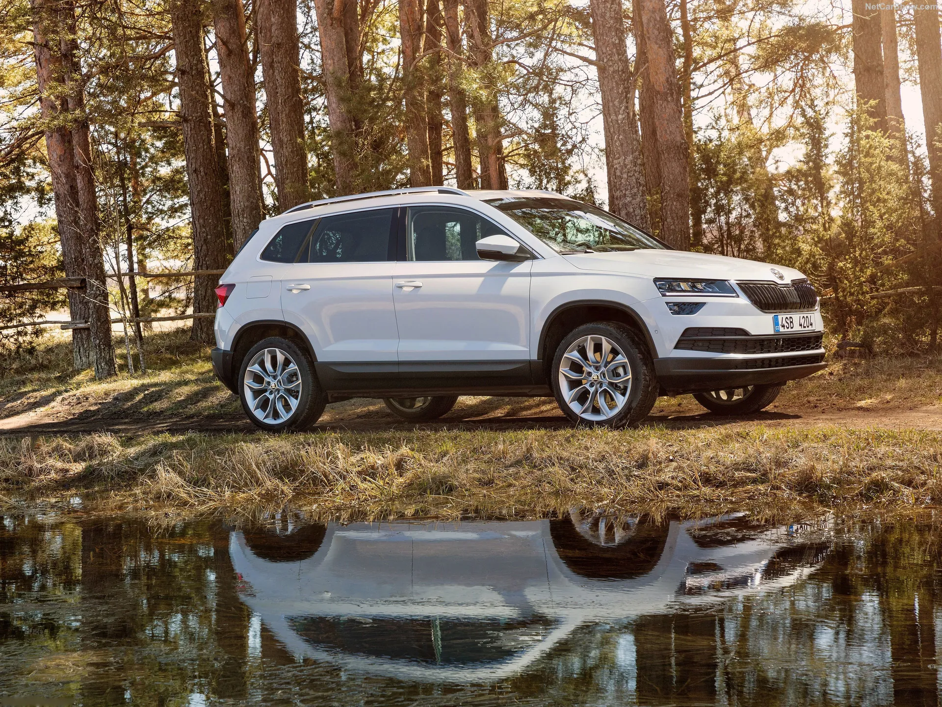 Skoda Karoq (2018)