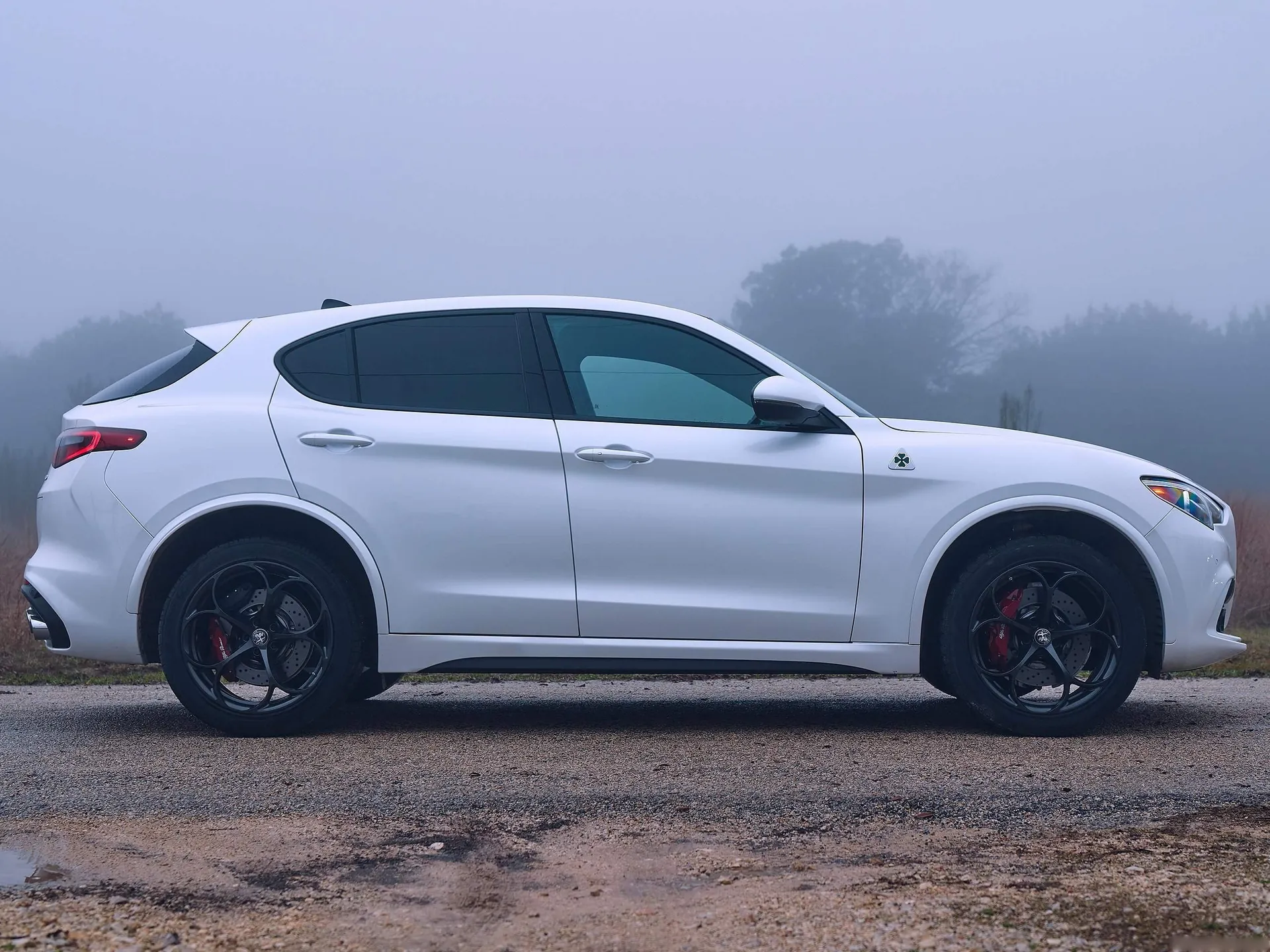 Alfa Romeo Stelvio Quadrifoglio [US] (2018) - Side Profile