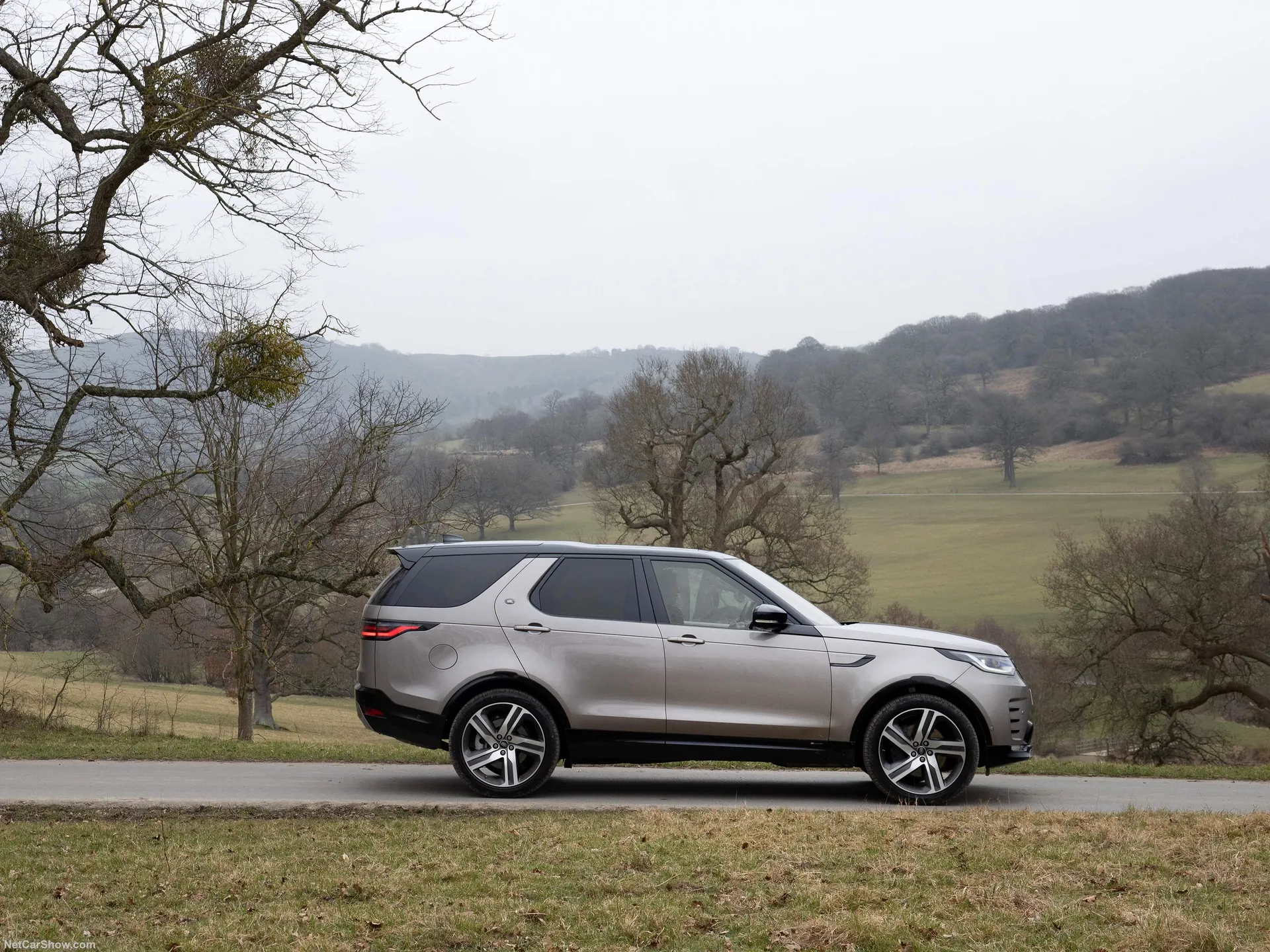Land Rover Discovery (2021) - Side Profile